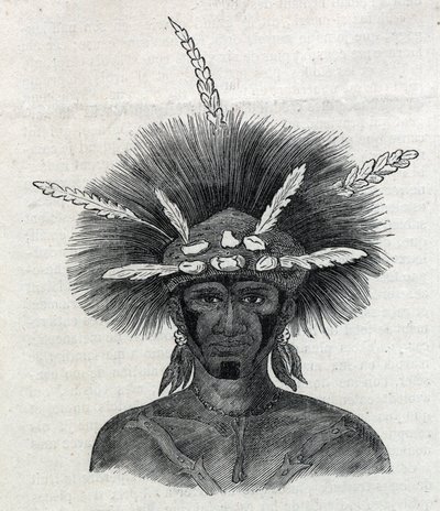 Urbefolkning i New Guinee (New Guinee): "svart" av Doreh. Gravering i "" L'univers illustrious"" av Unknown artist