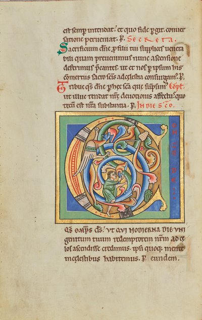 Bebodd initial C av Unknown artist