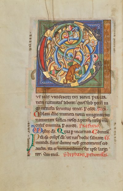 Bebodd initial C av Unknown artist
