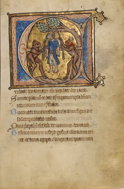 Initial E: Judas#39; selvmord av Unknown artist