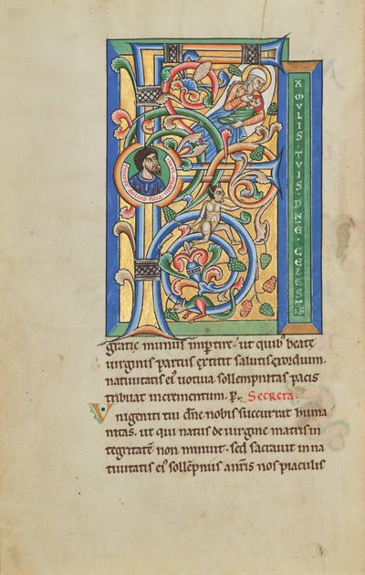 Initial F: Jomfru Marias fødsel av Unknown artist