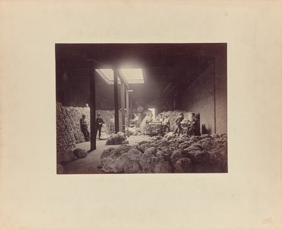 [Interiør av ullsorteringshus, Walter Brown and Company] av Unknown artist