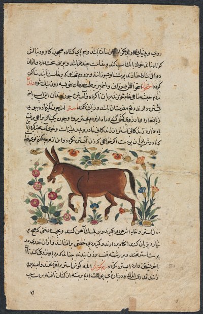 Annet (funnet), fra en nezhantami-besetning (utmerket bok om vi kommer) fra Shahmarda Ibn Abi al-Khair (forsa) av Unknown artist