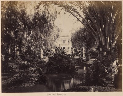 Khedives hager av Unknown artist