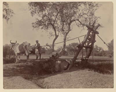 Pensjonat av Unknown artist