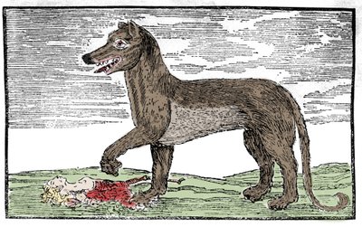 La bete du Gevaudan Gravering fra "Saint James