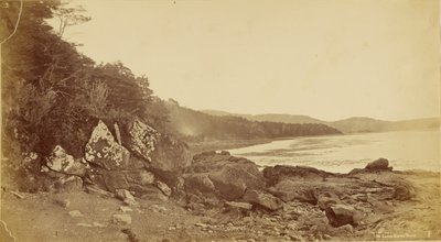 Laguna Dawson-øya. av Unknown artist