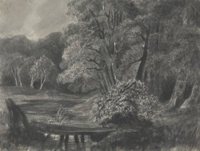 Landskap med dam av Unknown artist