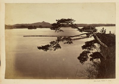 [Landskap med innsjø og trær] av Unknown artist