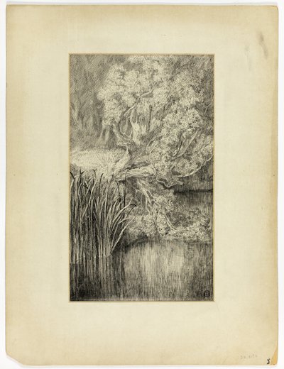 Liten dam i skogen av Unknown artist