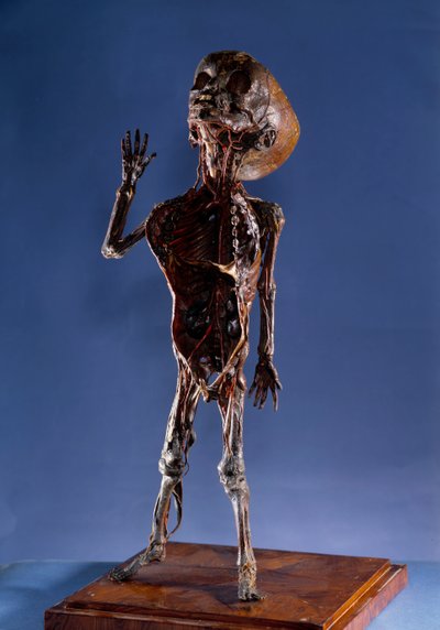 Medisin: skrell figur. Privat samling fra 1700-tallet av Unknown artist