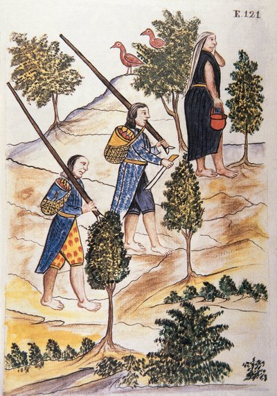 Motilones-indianere som skal jakte, fra boken "Trujillo del Peru" eller "Códice Martínez Compañón", av Baltazar Martinez Compañón y Bujanda, biskop av Trujillo (1782-1785) av Unknown artist