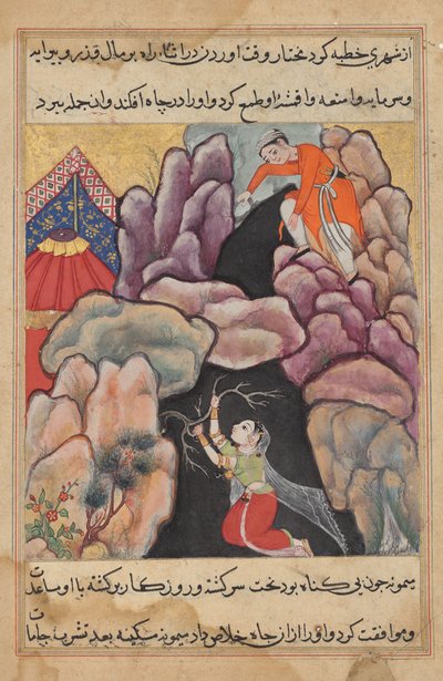 Mukhtar kaster kona Maimuna i gropen, men hun redder seg selv fra en Tuti-nama (Tales of a Parrot): Twenty-fifth Night av Unknown artist