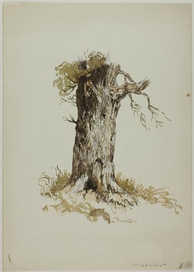 Gammel trestamme (rekto); Gammel trestamme (verso) av Unknown artist