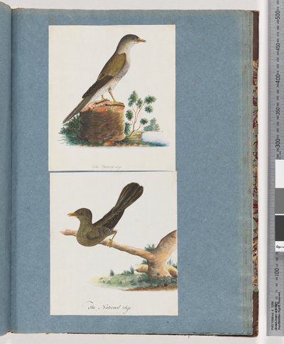 Side 115. Uidentifisert fugl. 116. Klokke, gruvearbeider av Unknown artist