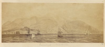 [Panorama av havnen, Funchal, Madeira] av Unknown artist