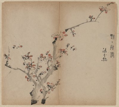Ferskenblomster av Unknown artist