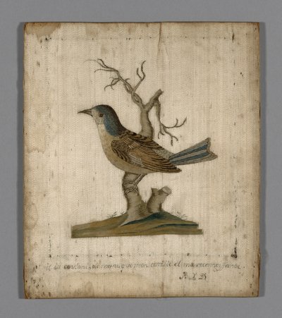 Bilde av en fugl av Unknown artist