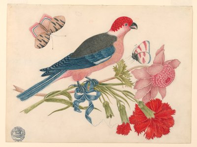 Pink, Red, Blue, and Black Bird on Branch with Blossoms and Butterflies   1233138   no       norwegian Successfully Translated  Original: Plymouth: Swiss Lodge and Gardens, Devonport Park (colour litho) Translat: Plymouth: Swiss Lodge and Gardens, Devonpor av Unknown artist