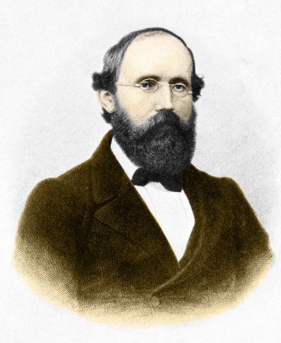 Portrett av Bernhard Riemann (1826-1866.) tysk matematiker av Unknown artist