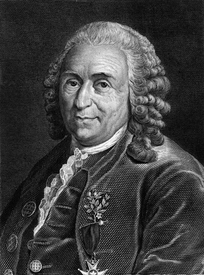 Portrett av Carl Von Linné svensk naturforsker og forfatter (1707 - 1778). Sd. gravering fra 1800-tallet. av Unknown artist