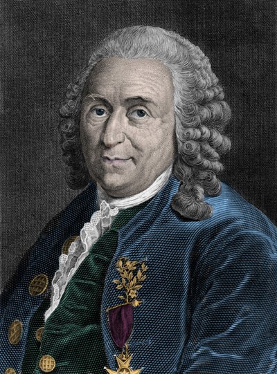 Portrett av Charles Linne (Carl von Linne, Linneus 1707-1778), svensk naturforsker. Gravering av 1800-tallet. av Unknown artist