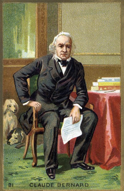 Portrett av Claude Bernard (1813 - 1878), fransk fysiolog. Kromolitografi fra 1800-tallet. av Unknown artist