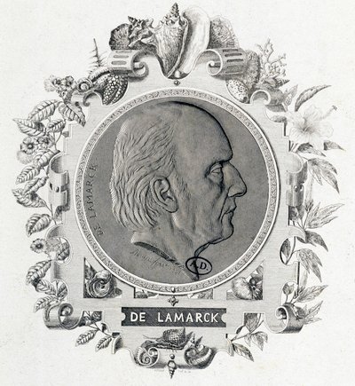 Portrett av Jean Baptiste Lamarck - gravering av Unknown artist