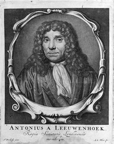 Portrett av den nederlandske handelsmannen og lærde Antoine van Leeuwenhoek (eller Leeuvenhoek Leeuwenhoeck) (eller Antoni eller Anthonie) (1632-1723) Gravering fra "Investigatio Arcanorum" 1722. av Unknown artist
