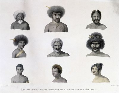 Portretter av Papua fra Rawak Island. av Unknown artist