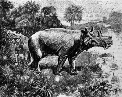 Forhistorie: representasjon av en firhornet Uintatherium-dinosaur. av Unknown artist