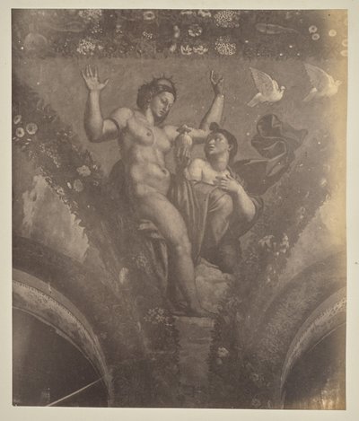 Psyke gir potten til Venus av Unknown artist