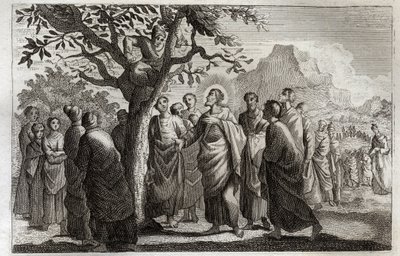 Royaumont Bibelen, Det nye testamente: Omvendelse av Zachee. Jesus Kristus snakker med Zachee og sitter på platanen. Illustrasjon fra 1811. av Unknown artist