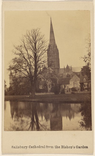 Salisbury-katedralen fra biskopshagen av Unknown artist