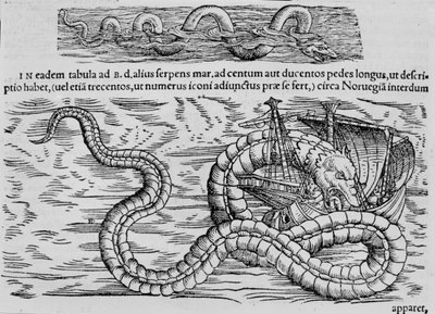 Sjøslange, marine skapning etter Conrad (= Konrad) Gesner av Unknown artist
