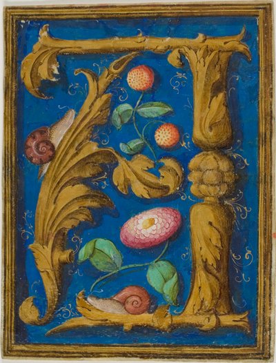 Snegler, jordbær og en blomst i en dekorert initial «A» fra et manuskript av Unknown artist