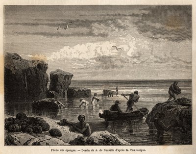 Svampfiske av øyboerne på Anastasia Island, en lav hoppe, samler kvinner og barn seg blant steinene og menn legger ut på kanoer for å dykke og hente dem i bunnen av havet. Gravering for å illustrere historien fire måneder i Florida, av Achille Po av Unknown artist