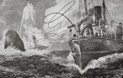 Dampskip som hvalfangere av Unknown artist