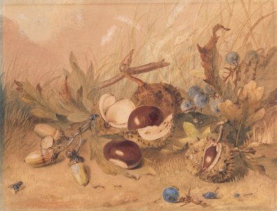 Stilleben med eikenøtter og hestekastanjer av Unknown artist