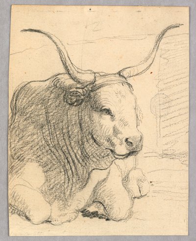 Studie: en liggende ku av Unknown artist