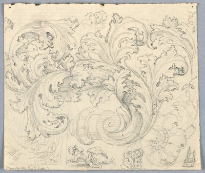Studie for Curling Acanthus Ornament av Unknown artist