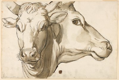 Studie av en ku av Unknown artist