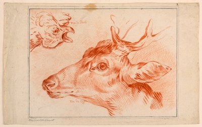 Studie av hodene til en kylling og hjort av Unknown artist