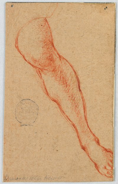 Studie av venstre ben til en sittende kvinne av Unknown artist