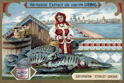 Stør, sterlet, kaviar, med en ung kvinne som holder bøtter, foran en russisk by - Liebig-kromolitografi av Unknown artist