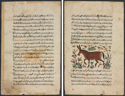 Tekstside, persisk prosa (Recto); Khar (ass) (verso) av Unknown artist