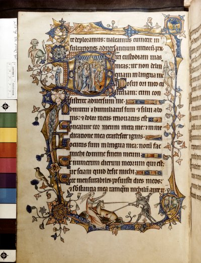 Eiketreet og en enhjørning, illustrasjon fra «Ormesby Psalter» av Unknown artist