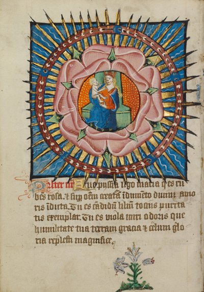 Jomfru Maria og barnet i en rosa rose med en hvit lilje av Unknown artist