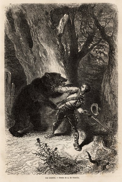Forfatteren blir under en ekskursjon rundt Jacksonville overrasket i skogen av en tambjørn og kjede. Gravering for å illustrere historien fire måneder i Florida, av Achille Pousselgue i 1851-1852, publisert i "" Le tour du monde"" 1870-1871, redigert av Unknown artist