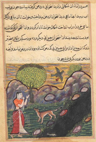 Svigerdatteren til kongen av Banaras ser sjakalen bli fratatt maten sin av en fugl, mens den uten hell prøver å fange en fisk, fra en Tuti-nama (Tales of a Parrot): Sixteenth Night av Unknown artist
